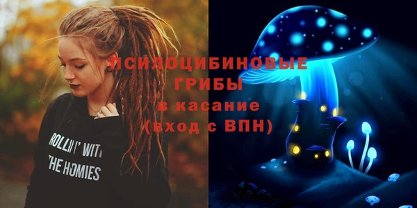 ПСИЛОЦИБИНОВЫЕ ГРИБЫ Струнино