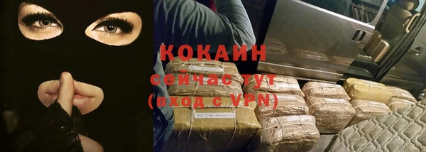 хмурый Сосновый Бор