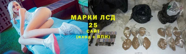 хмурый Сосновый Бор
