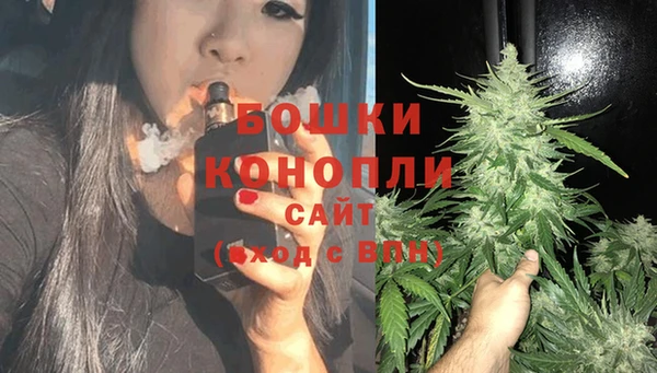 дживик Сосновоборск