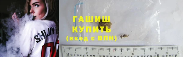 хмурый Сосновый Бор