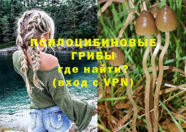 ALPHA PVP Строитель