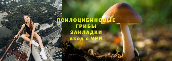 ALPHA PVP Строитель