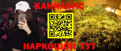 Альфа ПВП Бийск