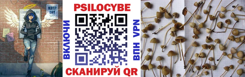 Псилоцибиновые грибы Magic Shrooms  МЕГА как зайти  Тында 